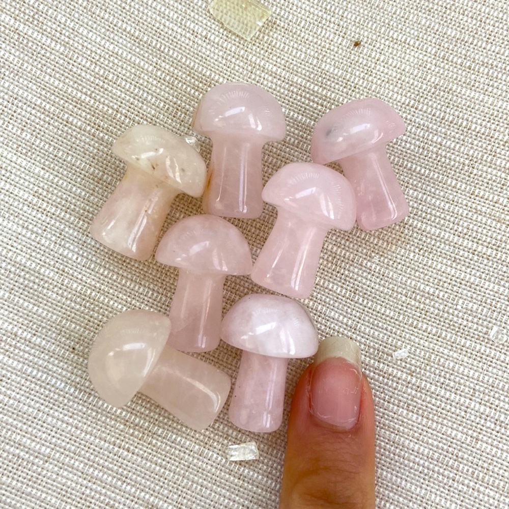 Pink mushroom rocks